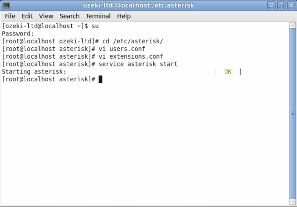 starting asterisk service